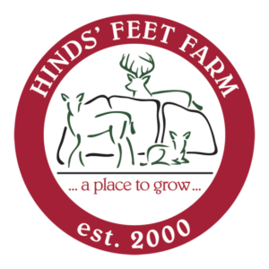 Hinds' Feet Farms Residential and Day Programs for Brain Injury Survivors