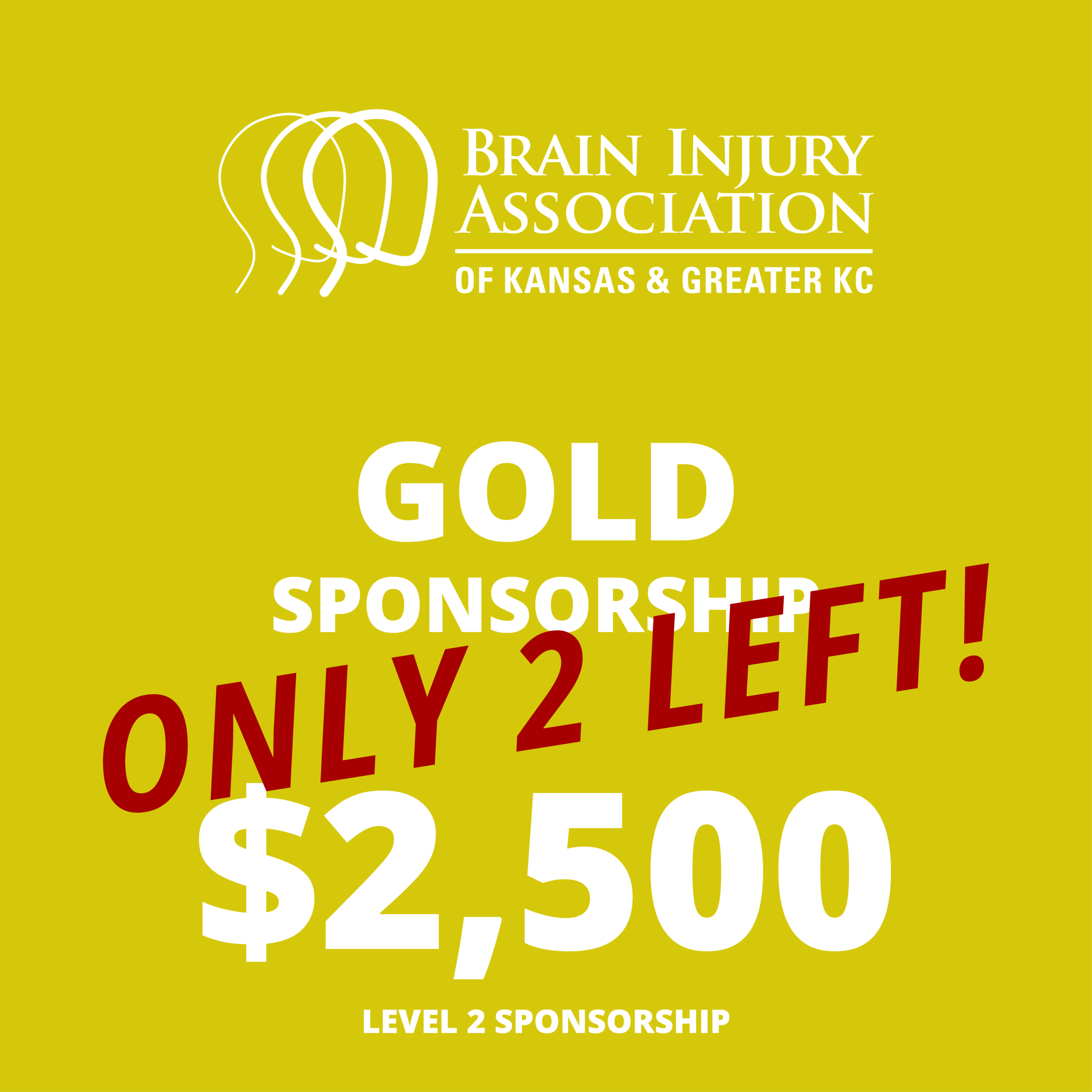 Conference Gold Sponsorship