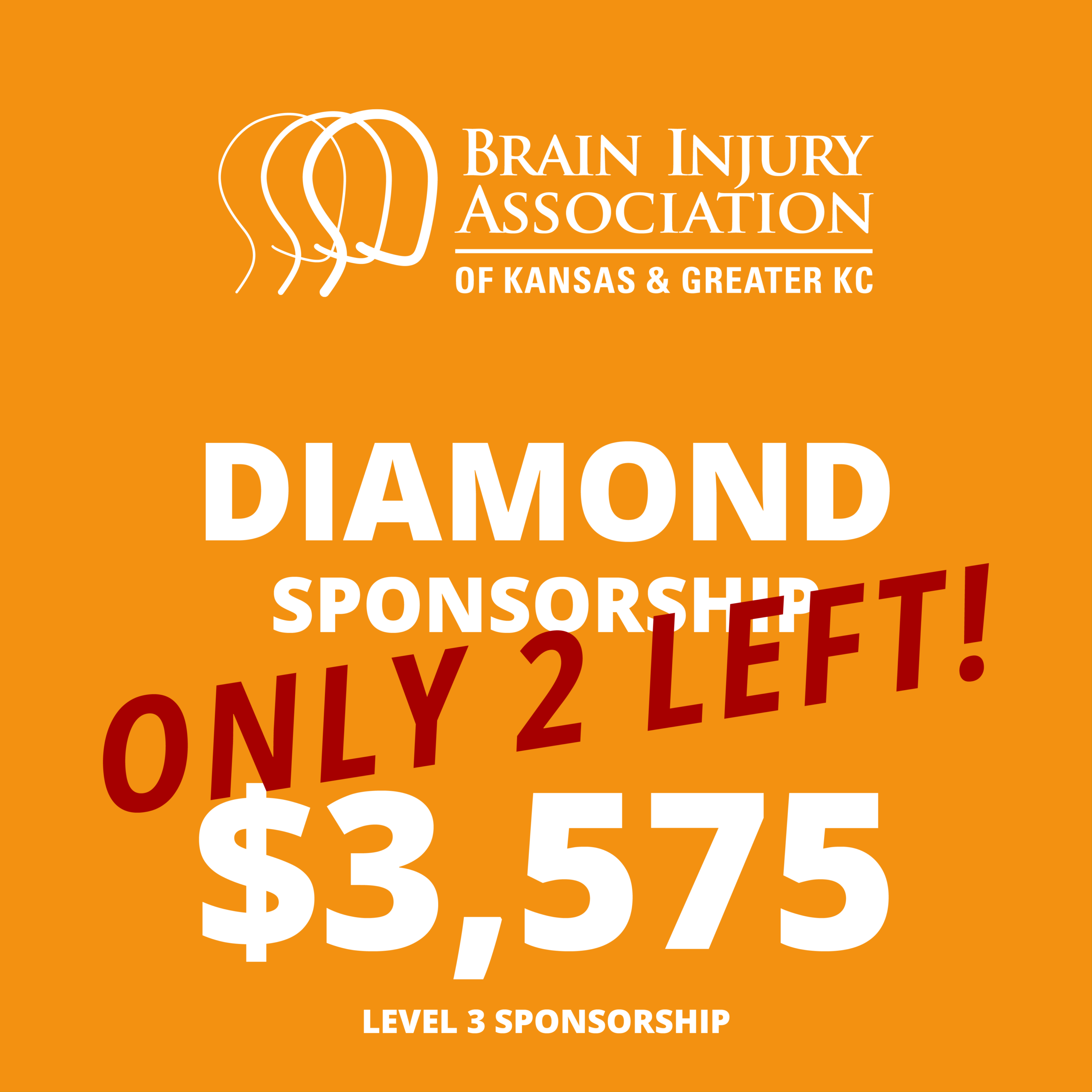 Conference Diamond Sponsorship