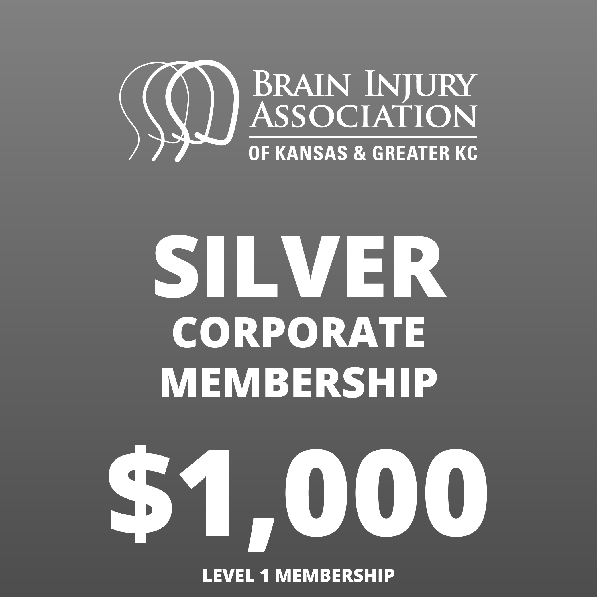 Silver Corporate Membership