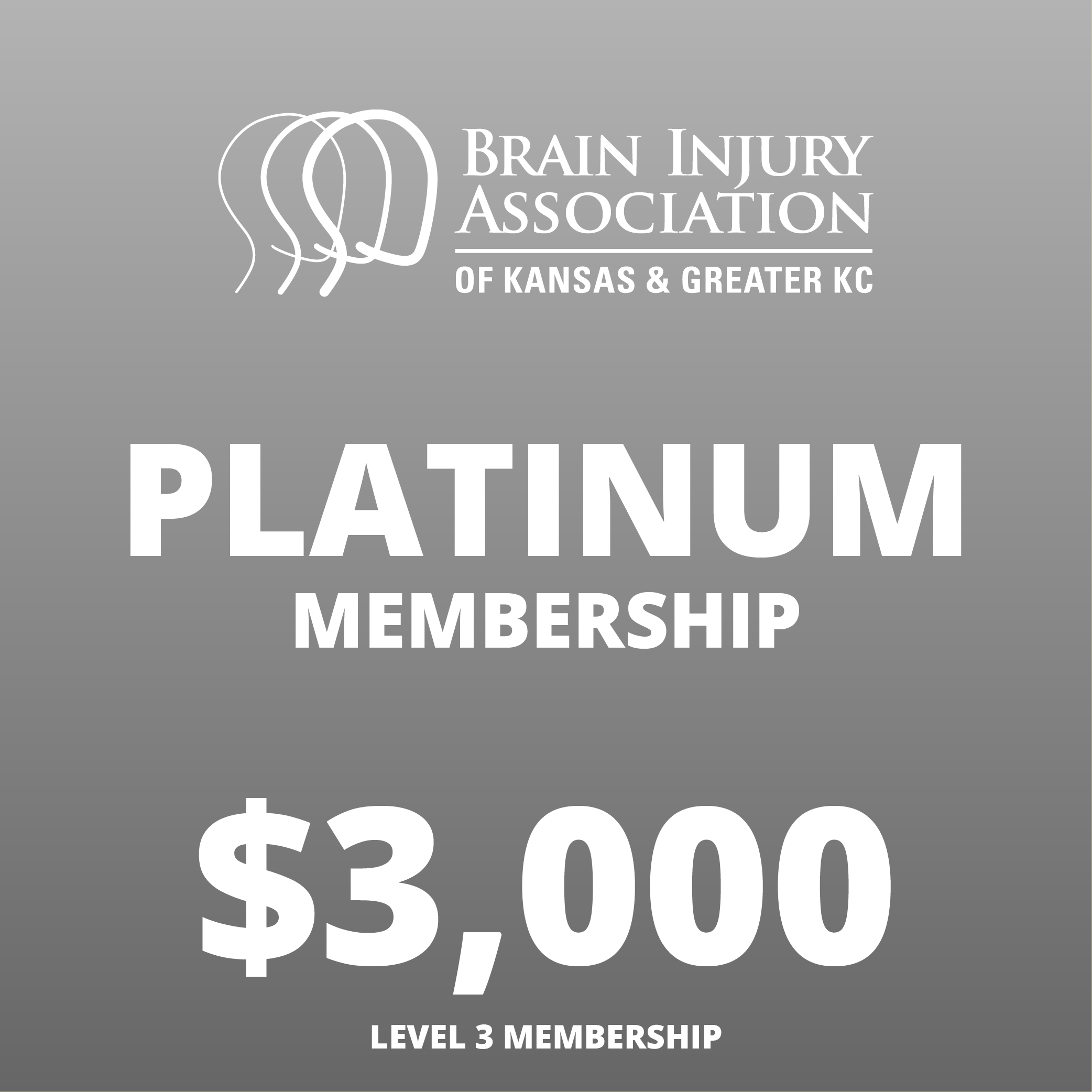 Platinum Conference Sponsorship