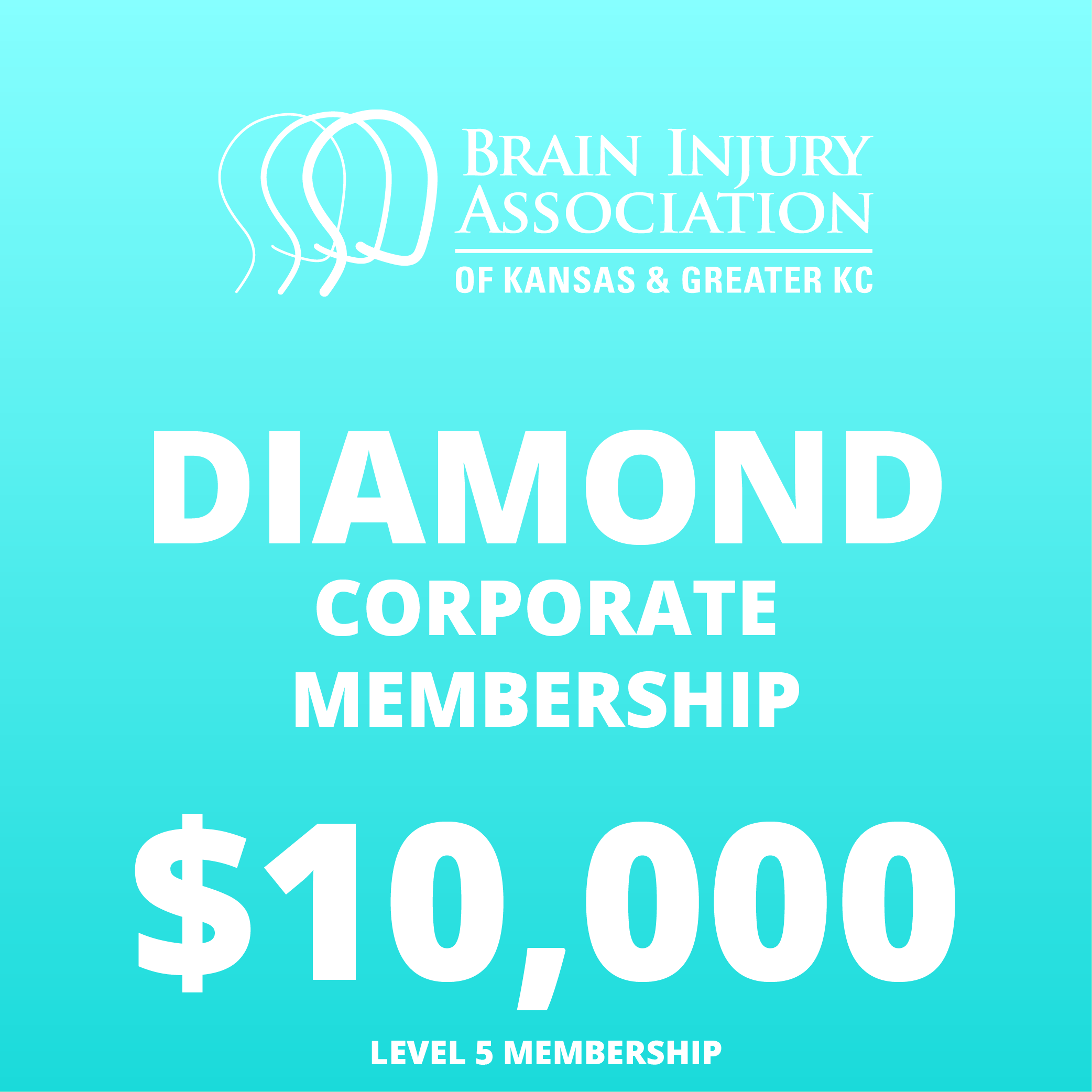Diamond Corporate Membership
